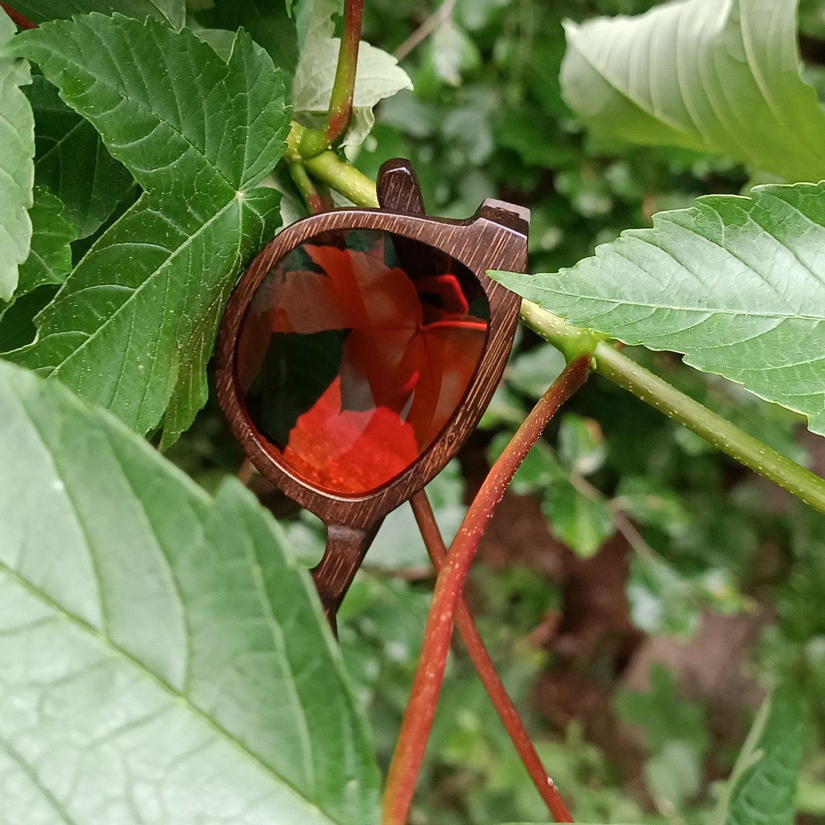 Nachhaltige Damen Sonnenbrille aus Bambus | KEOLA | Rot verspiegelt | geschwungener Style | WOODEN SHADE Sunglasses