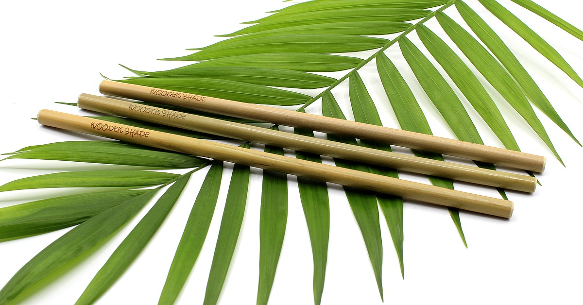 Bamboo straw | Drinking straw | Nature | Vegan | Sustainable & environmentally friendly | WOODEN SHADE®