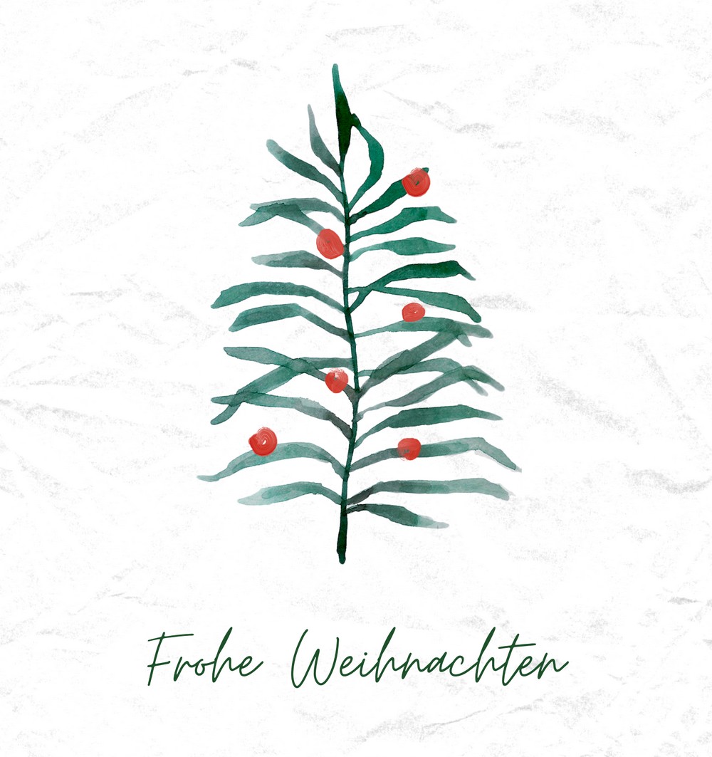 Frohe Weihnachten und einen guten Rutsch ins neue Jahr!