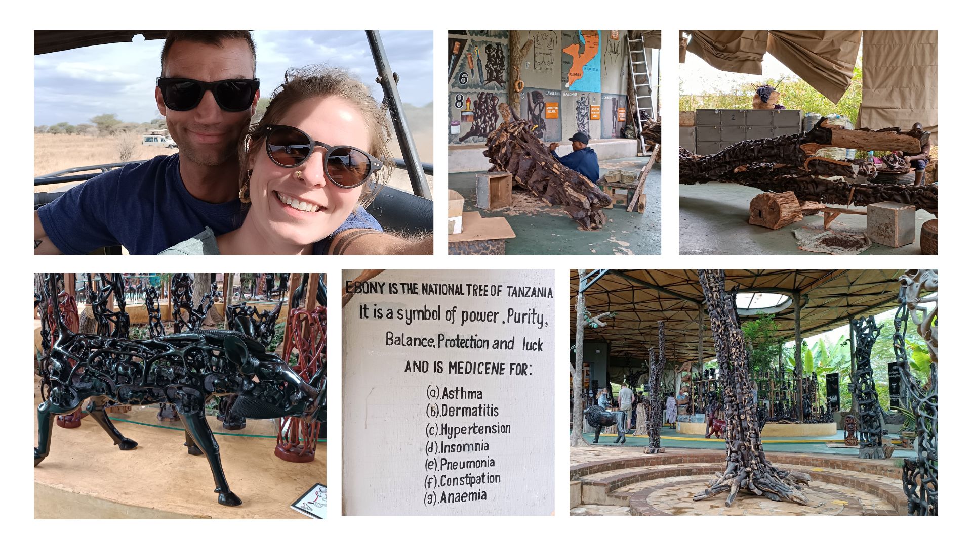 WOODEN SHADE | Sunglasses | Afrika Tansania Journey | Ebony Wood Museum 2022
